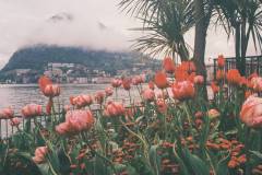 Locarno