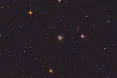 M 61 -  Spiralgalaxie 