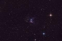 NGC2359 - Entennebel