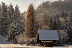 Winterstimmung