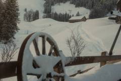 Winter im Alpthal