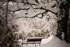 Bank im Schnee