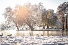 Villettepark mit Schnee