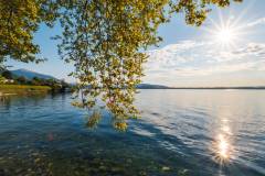 Blendensterne am Zugersee