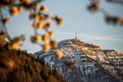 Frühlingserwachen