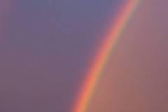 Regenbogen