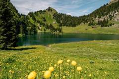 Hinterstockensee
