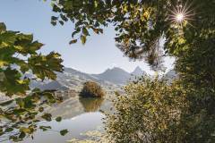 Lauerzersee