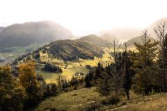 Herbstsonne