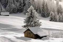 Winterzauber auf der Ibergeregg