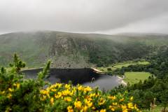 Lough Tay (Guinness See)