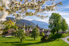Stadt Zug im Frühling