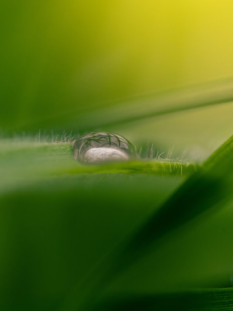 Wassertropfen
