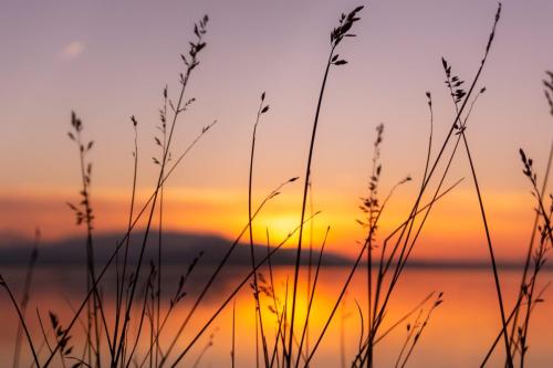 Sonnenuntergang am See