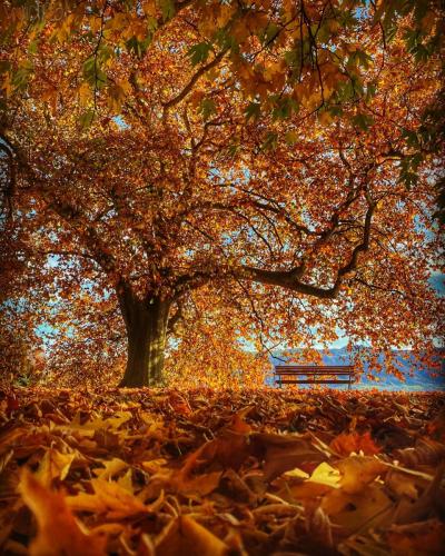 Herbststimmung im Villettepark