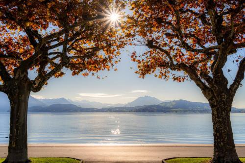 Herbst am Zugersee mit Sonnenstrahlen 