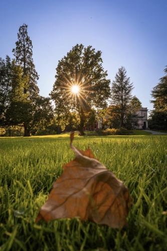 Herbstblatt im Villettepark