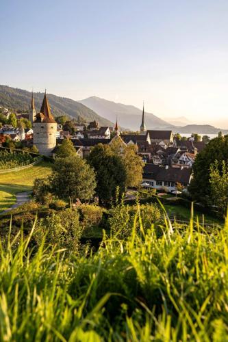 Stadt Zug und Rigi Panorama