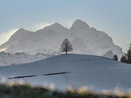 Einsamer Baum