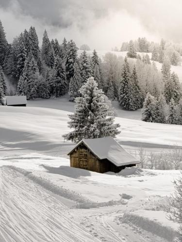 Winterzauber auf der Ibergeregg