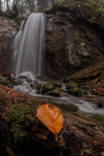 Herbstblatt am Wasserfall