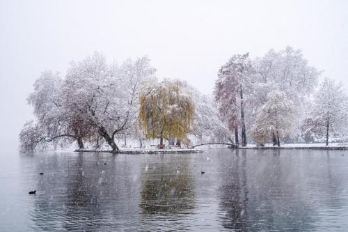 Schneefall im Villettepark 