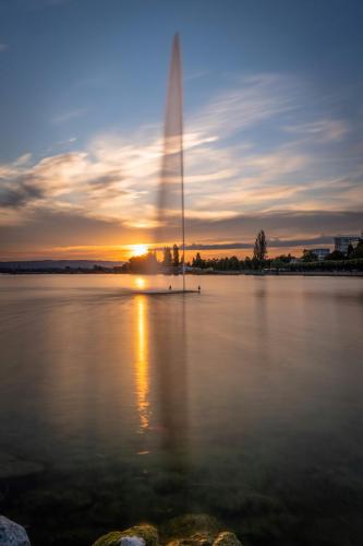 Wasserfontäne im Zugersee bei Sonnenuntergang 