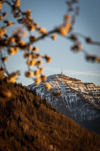 Frühlingserwachen am Fuße der Rigi