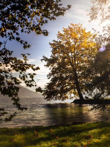 Sonnenzauber im Herbst